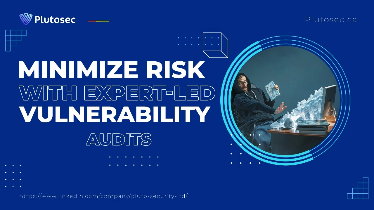 Vulnerability Audit